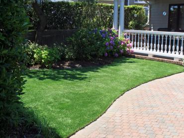 Artificial Grass Photos: Fake Pet Grass Marina del Rey California Landscape